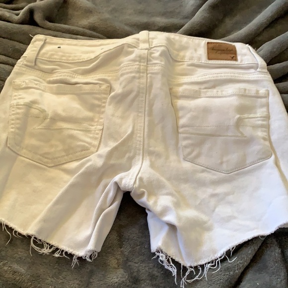 American eagle 🦅 - Picture 3 of 3